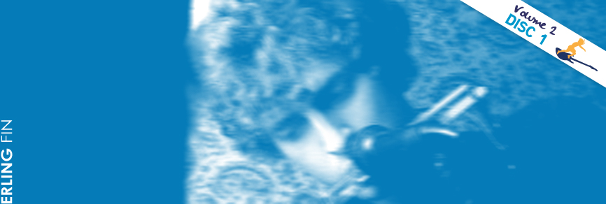 DISC 1 - ERLING FIN